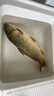 劉志強(qiáng)金袖子線雙鉤成品正品綁好魚鉤防纏無(wú)倒刺新關(guān)東袖鉤鯽魚鉤 伊勢(shì)尼有刺50cm【鉤6+線2.0】 曬單實(shí)拍圖