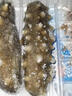 宮壹 大連即食海參 1斤 5-8只 固形物超80% 鮮活海參加工 免泡發(fā) 曬單實(shí)拍圖