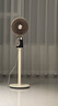 創(chuàng)維【全屋驅(qū)蚊】空氣循環(huán)扇家用電風扇落地扇2025新款大風量語音遙控輕音節(jié)能臥室小風扇Q522 白咖色 曬單實拍圖