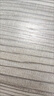 棉的美學(xué)【安心品質(zhì)】230G新疆純棉夏季重磅短袖t恤純色寬松百搭打底衫 「40°都清爽」優(yōu)雅白 L 「推薦120-140斤」 曬單實(shí)拍圖