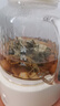 小熊（Bear）全玻璃壺體養(yǎng)生壺恒溫壺 辦公室多功能煮茶壺花茶壺 0金屬養(yǎng)生杯 24h預(yù)約24h保溫 1L YSH-P10Q7 曬單實拍圖