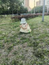 玖姿（JUZUI）南法假日碎花連衣裙女裝春款小個(gè)子設(shè)計(jì)感雪紡裙子 花咖啡 XL 曬單實(shí)拍圖