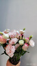 云南鮮花批發(fā)品質(zhì)玫瑰百合水養(yǎng)鮮切花送女友水養(yǎng)鮮花源頭直發(fā) 艾莎（鐵頭公主）-10支 【任選2件—不收運(yùn)費(fèi)】 曬單實(shí)拍圖