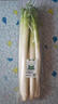 京鮮生大蔥 750g 簡(jiǎn)裝 新鮮蔬菜 曬單實(shí)拍圖