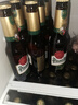 博世納捷克原裝進(jìn)口皮爾森精釀烏奎爾拉格啤酒330ml 博世納皮爾森 330mL 24瓶 曬單實(shí)拍圖