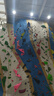 拉思珀蒂瓦（LA SPORTIVA）攀巖鞋男女入門(mén)級初學(xué)者基礎訓練室內抱石狼蛛 Tarantula Boulder 墨蘭/苔色 37 曬單實(shí)拍圖