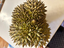鮮惠源 泰國進(jìn)口金枕頭榴蓮鮮果 巴掌榴蓮  新鮮生鮮水果 凈重2.5-3斤精品果 曬單實(shí)拍圖