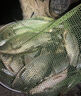 一包搞定鯉魚魚餌河冠鯉魚坑野釣垂釣鯉魚餌料一散見效餌料 3包【河冠鯉1500】 曬單實拍圖