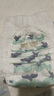 碧芭寶貝盛夏光年拉拉褲XXXL26片(≥18kg)學(xué)步褲 夏季超薄 透氣不悶熱 曬單實拍圖