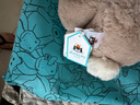 Jellycat害羞生日米色邦尼兔動物毛絨玩偶安撫禮物送禮娃娃生日禮物擺件 褐色 Medium 曬單實(shí)拍圖