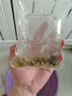 黃金蜆魚缸專吃魚屎糞便冷水觀賞淡水魚冷水魚清理凈水黃金河蚌 10顆送7顆【觀賞、凈水、除藻】 曬單實拍圖
