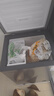 新飛（Frestec）100升全空間減霜迷你家用單溫冰柜小冷柜一級(jí)能效立式冷柜母乳小冰箱 BC/BD-100KAT/L 曬單實(shí)拍圖