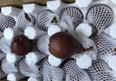 京鮮生 山西紅啤梨 凈重4.5斤 單果重130g+ 新鮮水果 源頭直發(fā) 曬單實拍圖