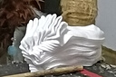 團(tuán)團(tuán)庫(kù)襪子男女士四季短筒淺口舒適透氣防臭抗起球?qū)W生情侶運(yùn)動(dòng)低幫短襪 白色【短筒款】 均碼 【十雙裝】 曬單實(shí)拍圖