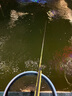 魚(yú)寧（yuning）增氧泵家用增氧機魚(yú)池養殖氧氣泵鋰電池交直流充電YJZ-060A 60w 曬單實(shí)拍圖