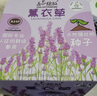 IAM City Farmer薰衣草DIY趣味種植盆栽多年生花卉種植辦公室盆栽芳香植物10089 曬單實拍圖