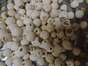 方家鋪?zhàn)又腥A老字號(hào) 蓮子400g 湘潭磨皮白蓮子去芯 百合桂圓銀耳羹食材 曬單實(shí)拍圖