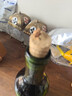Sourceland璞立酒莊BV紅酒美國加州原瓶進口干紅葡萄酒梅樂紅酒整箱6支裝 璞立加州赤霞珠干紅整箱6支裝 曬單實拍圖