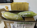 京鮮生云南水果玉米5斤 鮮甜玉米棒 甜脆多汁 新鮮蔬菜 源頭直發(fā)包郵 曬單實(shí)拍圖