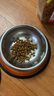 皇家狗糧 幼犬狗糧 寵物 小型犬 MIJ31 全價犬糧 2-10月 2KG 曬單實拍圖
