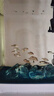 高體鳑鲏魚觀賞魚冷水魚原生魚七彩旁皮魚旁皮活體小型淡水魚好養(yǎng) 3-4厘米公母混搭15條包活12條 曬單實拍圖
