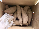 京鮮生臨安天目山小香薯凈重5斤 單果約100-200g 香甜軟糯皮薄 源頭直發(fā) 曬單實拍圖