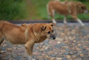 卡色（Kase）85mm F1.4 定焦鏡頭 大光圈 全畫(huà)幅 自動(dòng)對焦 人像 街拍 風(fēng)光 尼康索尼富士微單相機鏡頭 索尼E卡口（贈減光&黑柔二合一魔法鏡） 官方標配 曬單實(shí)拍圖