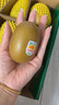 佳沛（zespri）新西蘭 陽光金奇異果12粒禮盒特大果單果約122-146g 獼猴桃 水果 曬單實拍圖