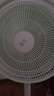 鉆石牌電風扇家用落地扇【臺式+落地】兩用搖頭扇大風力加高機身交流定頻輕音辦公臥室客廳通用DPMS-M004 曬單實拍圖