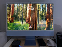 Apple/蘋果AI電腦/iMac 24英寸藍(lán)色4.5K屏 M4(10+10核) 24G 512G一體式電腦 MD2T4CH/A 曬單實(shí)拍圖