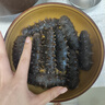 久年大連國標(biāo)淡干海參遼參非即食 海產(chǎn)干貨禮盒中秋禮物品送父母長輩 國標(biāo)11倍高品質(zhì) 100g*1盒 18-24頭 曬單實(shí)拍圖