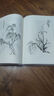 官方正版芥子園畫(huà)譜精裝典藏版 全4冊(蘭竹梅菊+人物+山水+花卉翎 全四冊芥子園畫(huà)譜精裝典藏版 曬單實(shí)拍圖