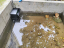 HASE魚(yú)池過(guò)濾器水循環(huán)系統不銹鋼瀑布式過(guò)濾箱戶(hù)外小型養魚(yú)外置凈水器 【0-2噸水】瀑布過(guò)濾套餐 幻彩-APP遙控 曬單實(shí)拍圖