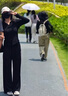 MissWiss直筒褲子女長褲休閑高腰收腹提臀黑色垂感闊腿褲 女神黑-常規(guī)款 L 曬單實拍圖