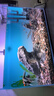 云舵魚(yú)缸背景紙畫(huà)水族箱造景裝飾壁紙缸底草缸貼紙藍白青漸變色可定制 藍白漸變 60*40厘米(長(cháng)X高) 曬單實(shí)拍圖