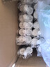 三棵樹漆（SKSHU）美縫劑瓷磚地磚防水家用衛(wèi)生間專用填縫劑勾縫劑中國十大美縫膠 【抗菌防霉】亞淺灰/Hot 410g 曬單實拍圖