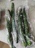 長(cháng)黃瓜約600g 曬單實(shí)拍圖