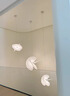 鴻登意大利Luceplan旋轉(zhuǎn)樓梯燈別墅loft復(fù)式樓中空客廳吧臺餐廳蠶絲燈 直徑80CM蠶絲吊燈（帶光源） 曬單實拍圖