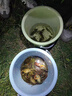 超長(cháng)續航充電式頭燈夜用釣魚(yú)照明野外登山裝備頭戴式華為手電筒 頂配長(cháng)續航續航980h-99800w 華為 曬單實(shí)拍圖