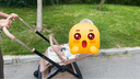 elittile逸樂途嬰兒車e7pro0-3歲用折疊可坐可躺帶減震輕便遛娃神器推車 曬單實拍圖