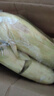 新鮮現(xiàn)摘水果玉米爆漿多汁直播間輕食早餐買菜超市蔬菜品質(zhì) 新鮮水果玉米9斤 含箱 曬單實拍圖