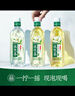 伊利伊刻活泉新鮮現(xiàn)泡茉莉花茶 800ml*12瓶/整箱 大瓶暢飲 健身必備 曬單實拍圖