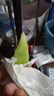 慧供山東玉菇甜瓜正宗冰淇淋蜜瓜香脆瓜新鮮水果多汁核心產(chǎn)區(qū)直發(fā) 凈重3斤 曬單實(shí)拍圖