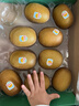 佳沛（zespri）新西蘭  陽(yáng)光金奇異果10粒禮盒巨大果單果約144-175g 水果 獼猴桃 曬單實(shí)拍圖