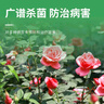 國(guó)光多菌靈殺菌劑花卉苗木水果蔬菜園藝葉斑病赤霉病通用殺菌100g 曬單實(shí)拍圖
