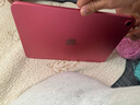 Apple/蘋(píng)果【國(guó)家補(bǔ)貼】iPad 11英寸 A16芯片2025年款 平板電腦 (128GB WLAN版/學(xué)習(xí)辦公娛樂(lè))粉色 曬單實(shí)拍圖