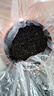 七春茶葉中秋節(jié)教師節(jié)送禮禮盒暖胃桂花紅茶正山小種野茶新茶濃香500g 曬單實(shí)拍圖