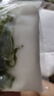 大連 鮮海帶 鹽漬裙帶菜梗  鹽漬海白菜裙帶菜蝦皮湯火鍋食材 鹽漬裙帶菜梗500g 曬單實拍圖