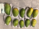 甜果源凱特芒芒果 熱帶應季時令樹上熟 現(xiàn)摘新鮮水果包郵 5斤精選果【單果400g+】凈4.5斤 曬單實拍圖