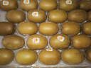 佳沛（zespri）新西蘭  陽(yáng)光金奇異果25-27粒原箱特大果單果約122-146g  獼猴桃 曬單實(shí)拍圖